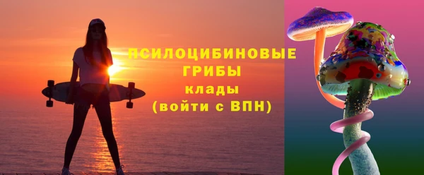 Альфа ПВП Арсеньев
