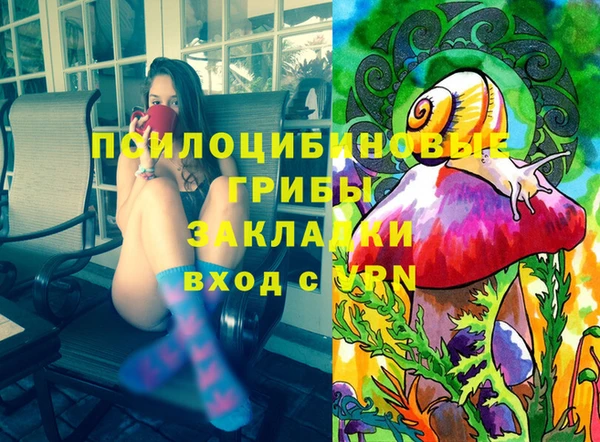 соль ск Алексин